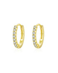 Hoop Zircon Earring