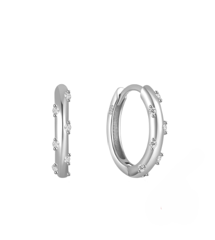 Crystal Zircon Hoop Earrings
