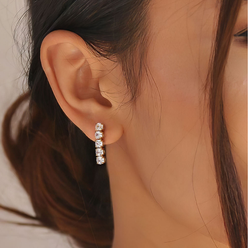 Round Zircon Drop Earring