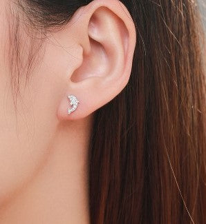 Dolphin Stud Earring